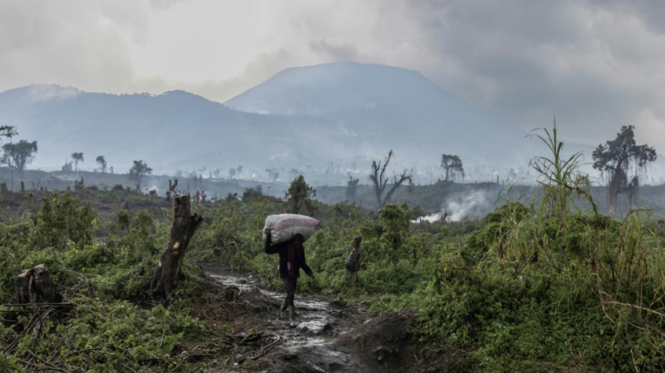 Mueren 50 hipop&oacute;tamos en una reserva de &Aacute;frica debido a una bacteria