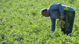 Crops under threat as surprise March heatwave hits Central Asia: study