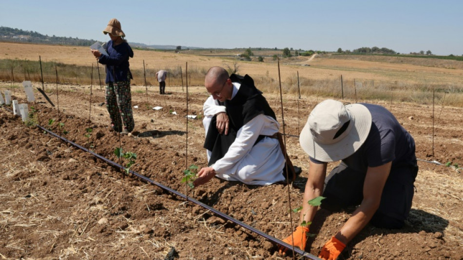 Isra&euml;l: au monast&egrave;re de Latroun, des vignes replant&eacute;es en signe d'"espoir"