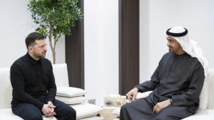 Ucrania firma acuerdos de cooperaci&oacute;n en defensa con Emiratos y Catar