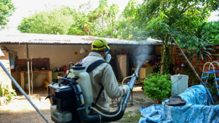 Brasil, Argentina e Paraguai lutam contra o avanço da dengue
