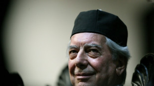 'Um g&ecirc;nio das letras': as rea&ccedil;&otilde;es &agrave; morte de Mario Vargas Llosa