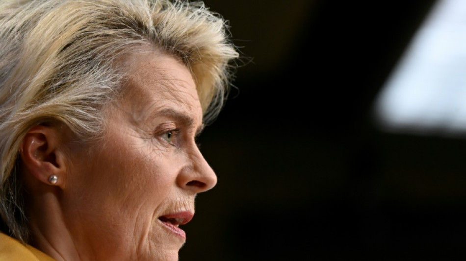 Von der Leyen dr&auml;ngt Berlin zu "schneller L&ouml;sung" im Verbrenner-Streit