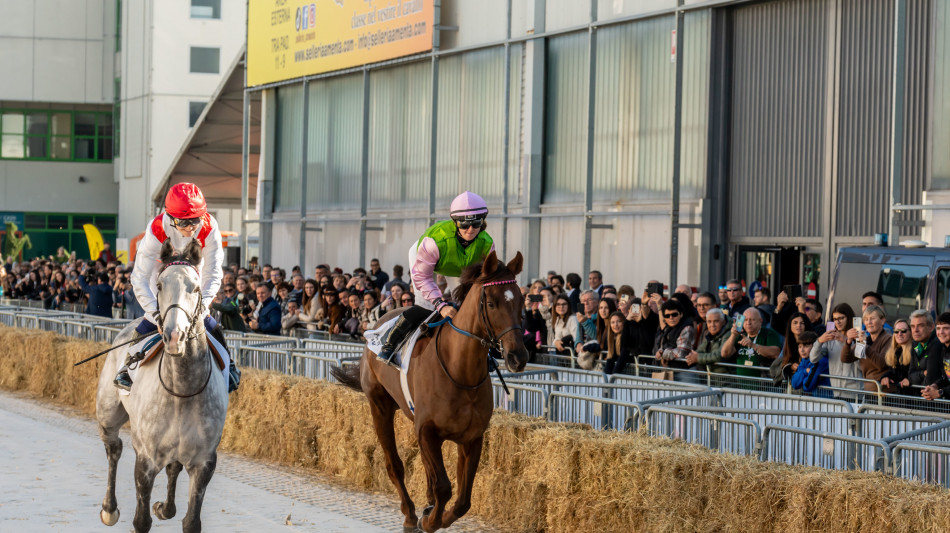 Fieracavalli chiude con oltre 140mila visitatori