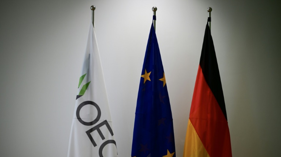 L'OCDE plus optimiste pour la croissance des poids lourds économiques en 2025