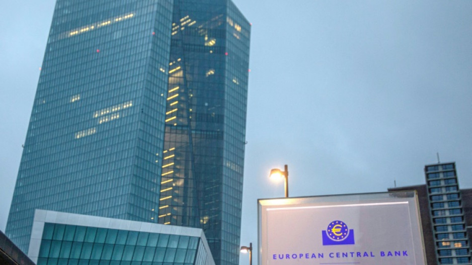 ECB sees longer inflation but stands pat on policy 