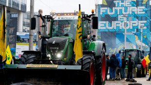 New farmer show of force as EU ministers tackle red tape