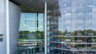 E-Autoabsatz deutscher Hersteller steigt besonders stark