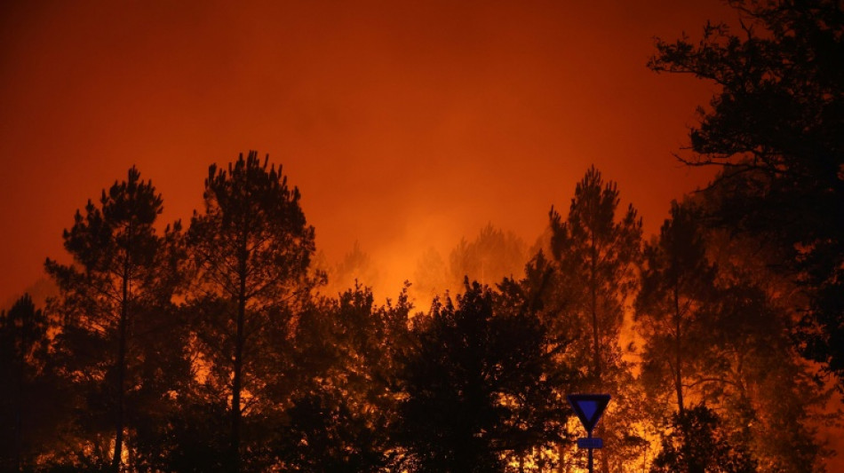 Incendies: Paris sollicite l'aide europ&eacute;enne, &eacute;tat d'urgence en Espagne