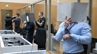 Allemagne : un an de prison pour un Ukrainien ayant aid&eacute; Moscou &agrave; planifier des sabotages