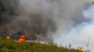 Pedro S&aacute;nchez propone un pacto nacional ante "la emergencia clim&aacute;tica" en plenos incendios en Espa&ntilde;a