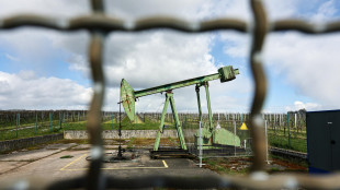 Petrolio in rialzo, il Brent sale dello 0,54% oltre 89 dollari