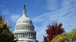 End to US government shutdown in sight as Democrats quarrel