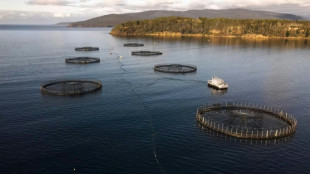 Farmed production of some fish - and seaweed - is soaring