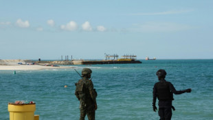 Mozambique: les jihadistes s&egrave;ment la panique, tactique avant le retour de TotalEnergies?