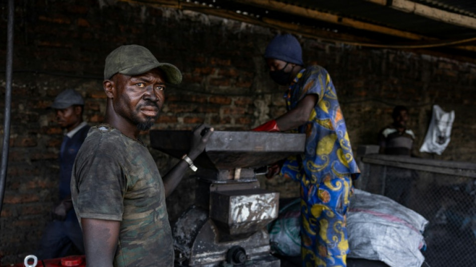 Chad hopes 'green charcoal' can save vanishing forests