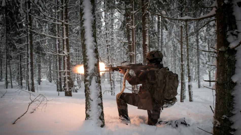Aliados de la OTAN se enfrentan a un frío casi polar durante maniobras en Estonia