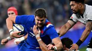 'Multiple concussions' forces France lock Willemse to retire