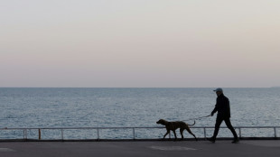 Variole du singe: les malades doivent &eacute;viter au maximum les contacts avec leurs animaux de compagnie