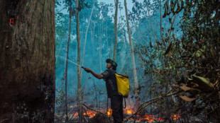 Casi 3.000 incendios en la Amazonía brasileña, récord para el mes de febrero