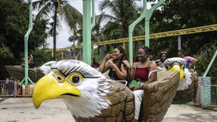 Nigeria theme park offers escape from biting economy