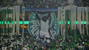 Conmebol investiga Palmeiras por gesto racista de torcedor na Libertadores














Conmebol investiga Palmeiras por gesto racista de torcedor na Libertadores