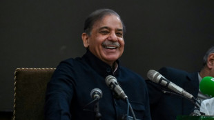 Shehbaz Sharif voted in as Pakistan's prime minister for second time