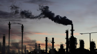 Il petrolio &egrave; in calo a New York a 78,30 dollari