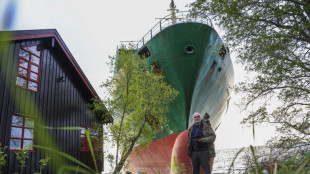Helmsman of cargo ship run aground in Norway was likely asleep: reports