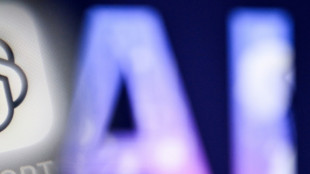 France and Europe: fertile AI training ground? 