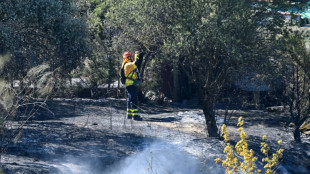 Sud de l'Espagne: l'incendie de Tarifa "stabilis&eacute;", retour des vacanciers &eacute;vacu&eacute;s