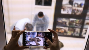 Rusia expone un peque&ntilde;o mamut casi intacto de m&aacute;s de 50.000 a&ntilde;os