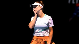 La tenista Svitolina donar&aacute; todos sus premios en apoyo a Ucrania