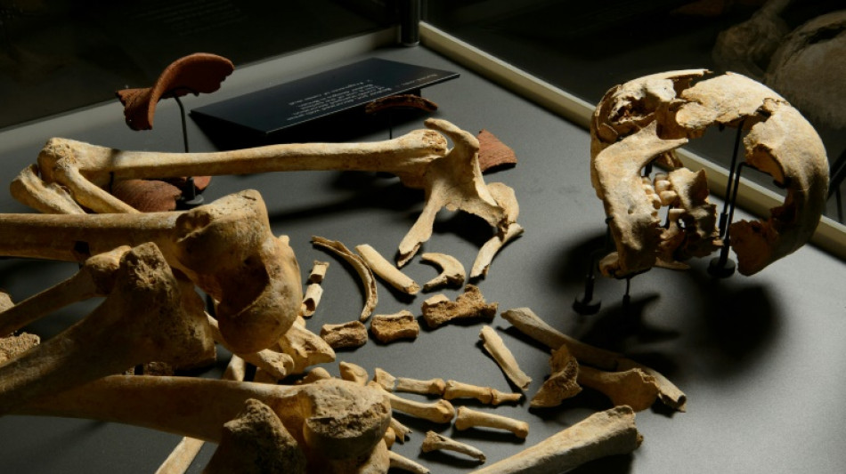 Un cambio social explicar&iacute;a la ca&iacute;da de la poblaci&oacute;n masculina durante el Neol&iacute;tico