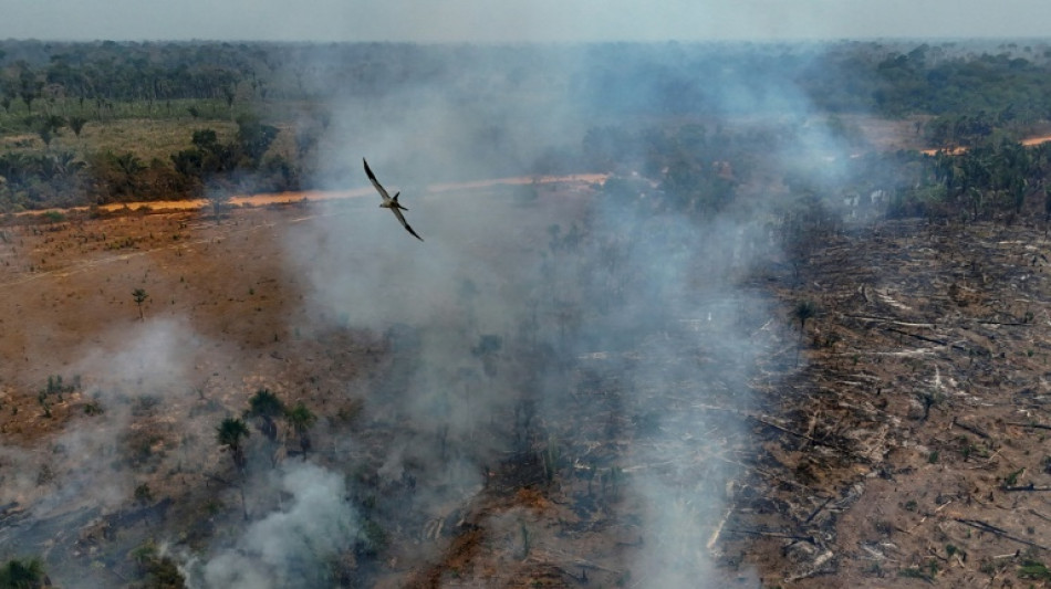 La deforestación de la Amazonía brasileña se aceleró en los últimos diez meses