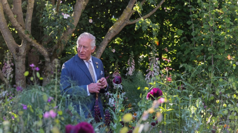 Carlos III advierte que el mundo pierde terreno en lucha contra el cambio clim&aacute;tico