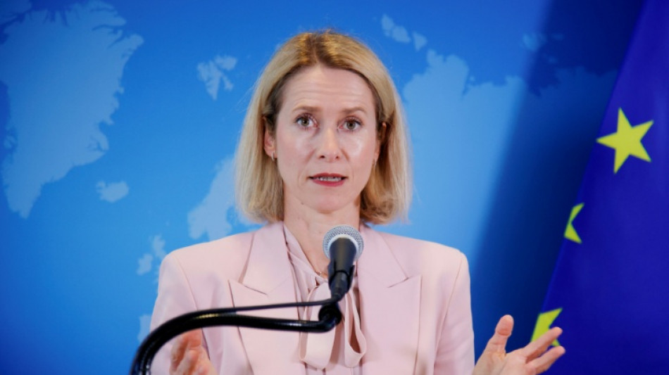 Lev&eacute;e des sanctions UE contre deux oligarques russes : le suspense continue