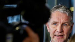 Vor Kommunalwahl in Bayern: Gericht kippt Redeverbot f&uuml;r AfD-Politiker H&ouml;cke