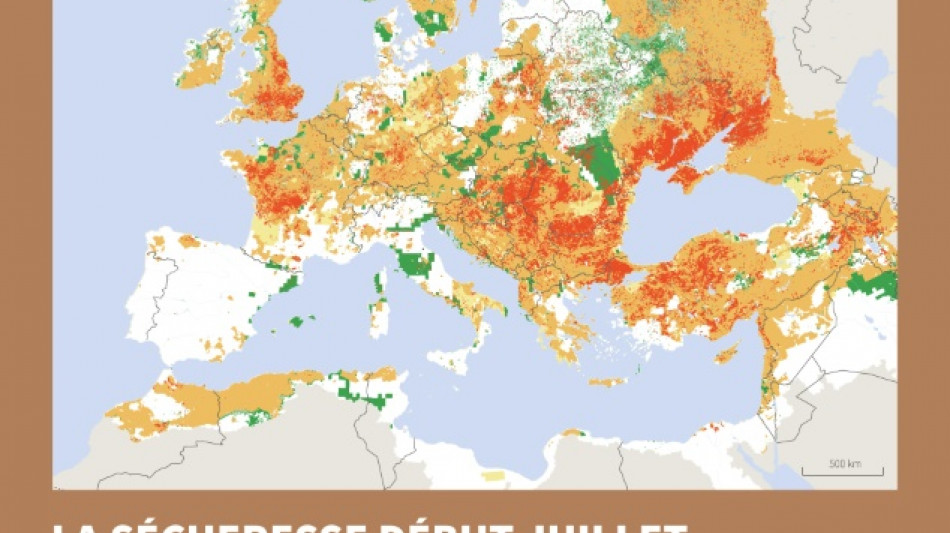S&eacute;cheresse record pour un d&eacute;but juillet en Europe et sur le pourtour m&eacute;diterran&eacute;en