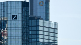 German industry alliance lays out domestic investment push