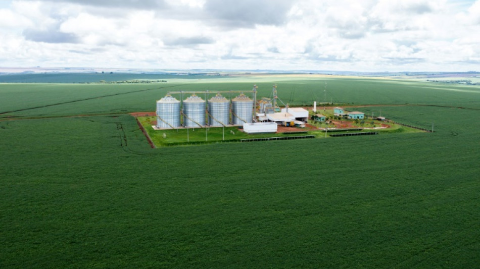 Agriculture: quand l'IA aide &agrave; r&eacute;colter des donn&eacute;es en Am&eacute;rique latine