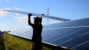 Clean energy investment rising despite economic uncertainty: IEA