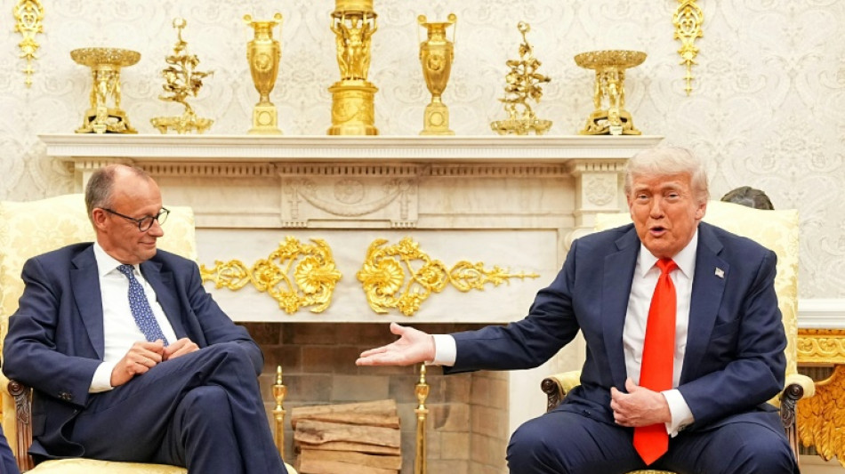 Merz l&auml;dt vor Putin-Trump-Gipfel zu virtuellen Treffen mit Trump und Selenskyj ein