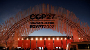 Globaler S&uuml;den ben&ouml;tigt 2,4 Billionen Dollar pro Jahr im Kampf gegen Klimakrise