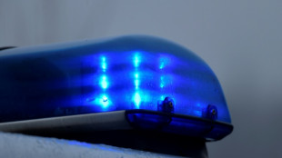 Nach Angriff auf Zug mit Fu&szlig;ballfans: Razzia in mehreren Bundesl&auml;ndern