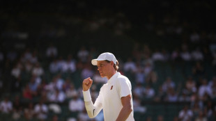 Gnadenlos gegen Djokovic: Sinner macht Traumfinale perfekt