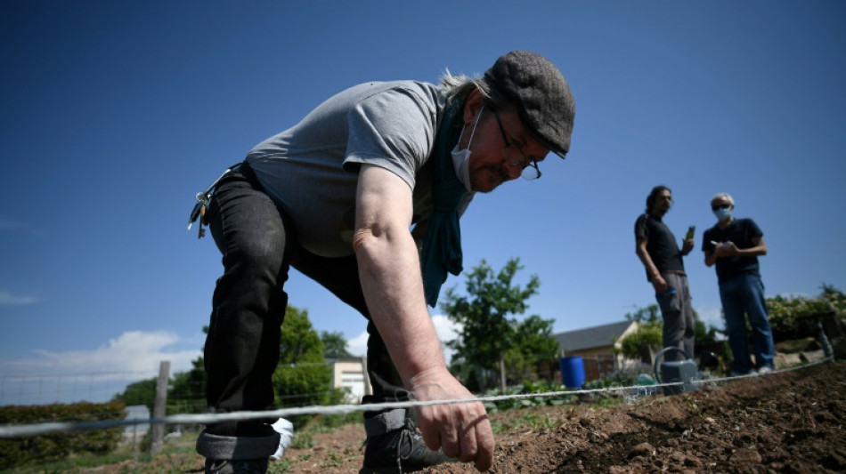 Travailler la terre en libert&eacute; pour apaiser ses troubles psychiatriques