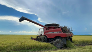 Vietnamese rice grower helps tackle Cuba's food shortage