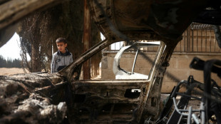 Isra&euml;l bombarde pr&egrave;s du palais du pr&eacute;sident syrien accus&eacute; de "g&eacute;nocide" des Druzes