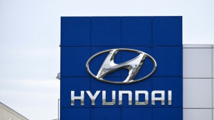 USA : près de 500 personnes, en majorité des Sud-Coréens, arrêtées dans une usine Hyundai-LG